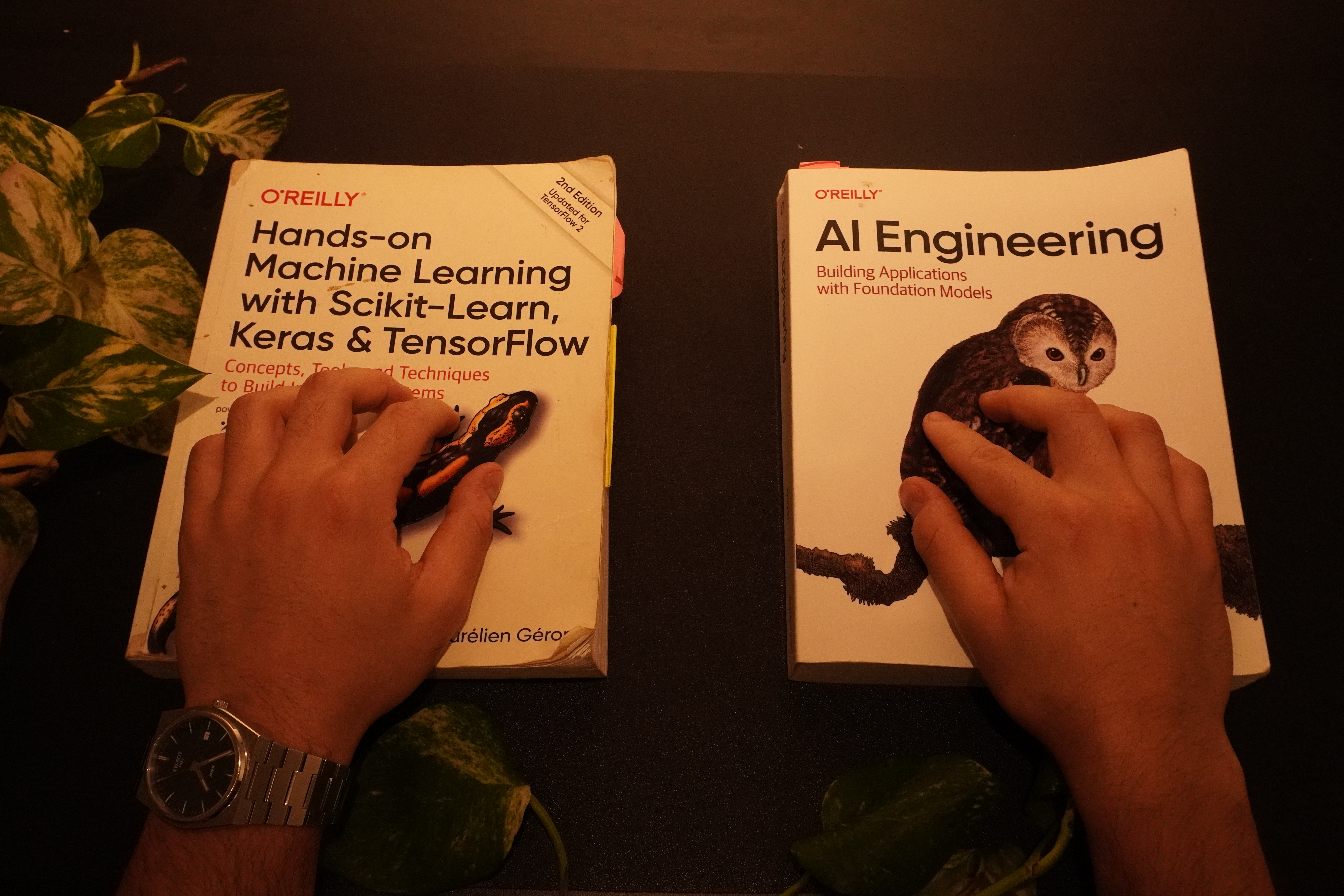 DS e IA: Primos Lejanos