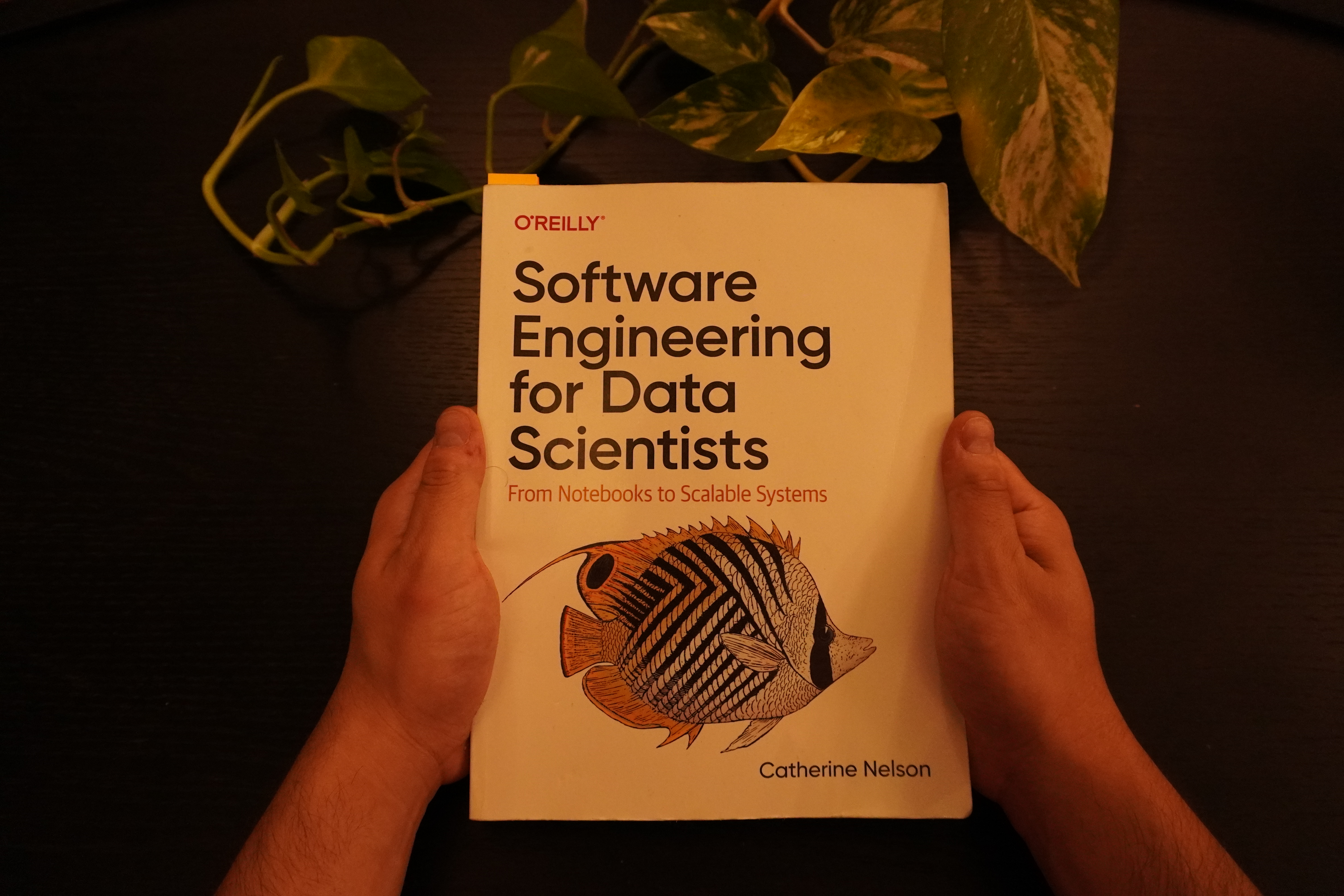 200 páginas de Software Engineering for Data Scientists